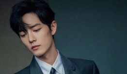 杨紫肖战最新娱乐爆料,娱乐爆料揭秘幕后故事